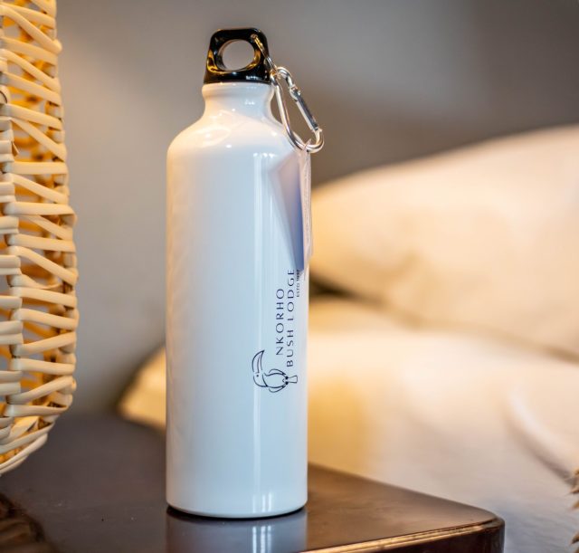 DSC_1451-Enhanced-NR