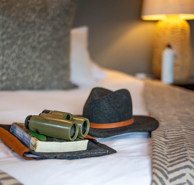 DSC_1453-Enhanced-NR