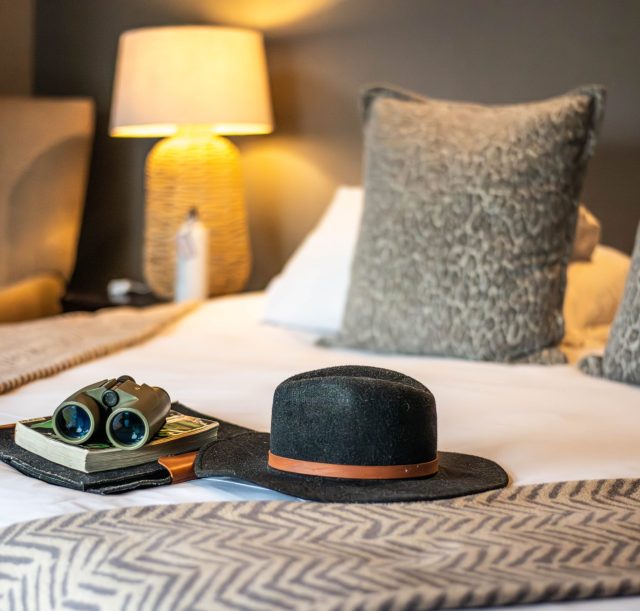 DSC_1458-Enhanced-NR