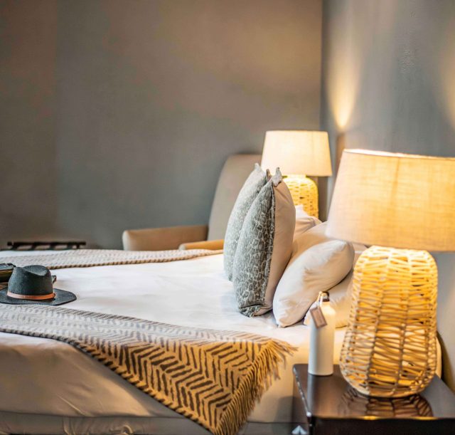 DSC_1461-Enhanced-NR