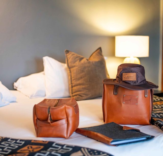 DSC_1487-Enhanced-NR