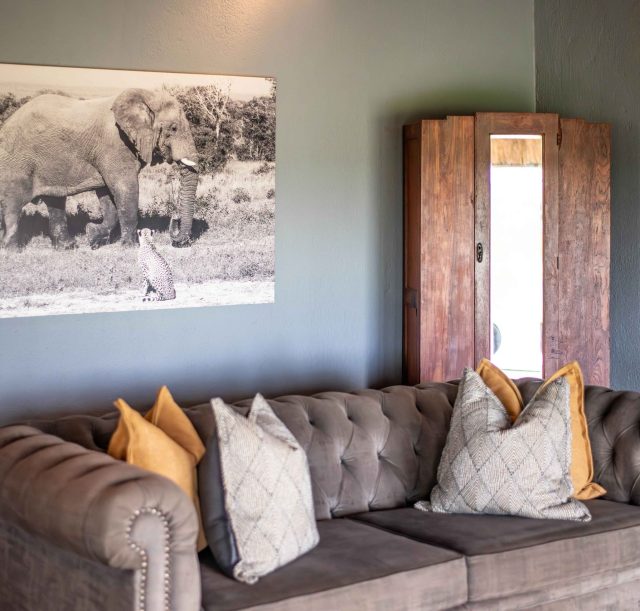 DSC_1641-Enhanced-NR