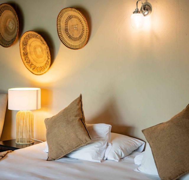 DSC_1789-Enhanced-NR