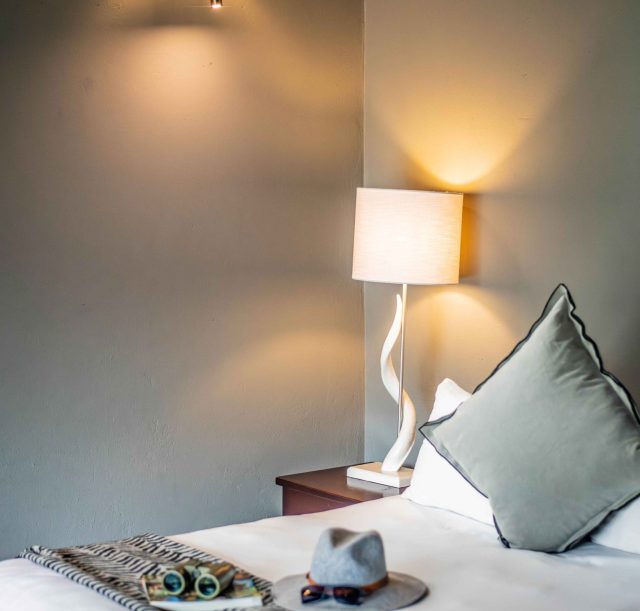 DSC_1802-Enhanced-NR