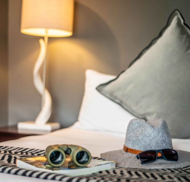 DSC_1803-Enhanced-NR