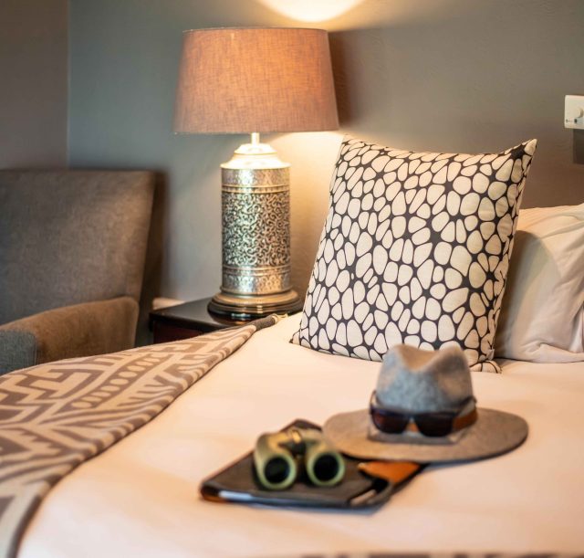 DSC_1870-Enhanced-NR