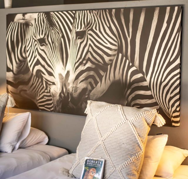 DSC_2477-Enhanced-NR