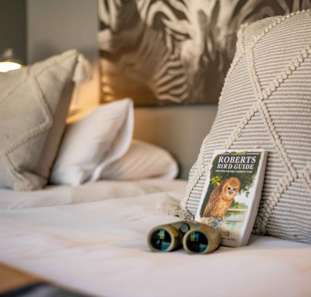 DSC_2478-Enhanced-NR