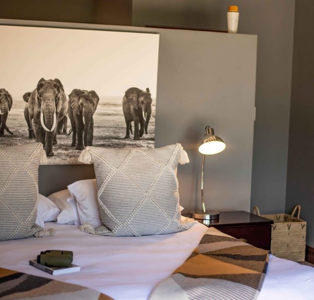 DSC_2487-Enhanced-NR