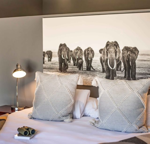 DSC_2488-Enhanced-NR