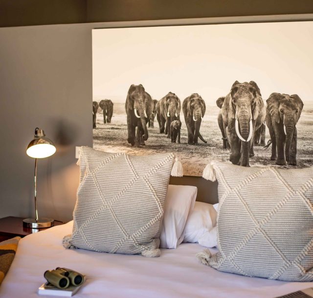 DSC_2489-Enhanced-NR