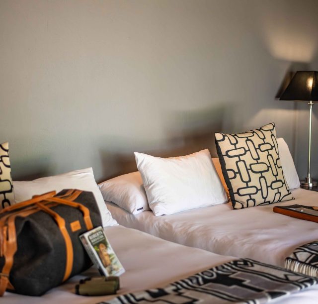 DSC_2499-Enhanced-NR